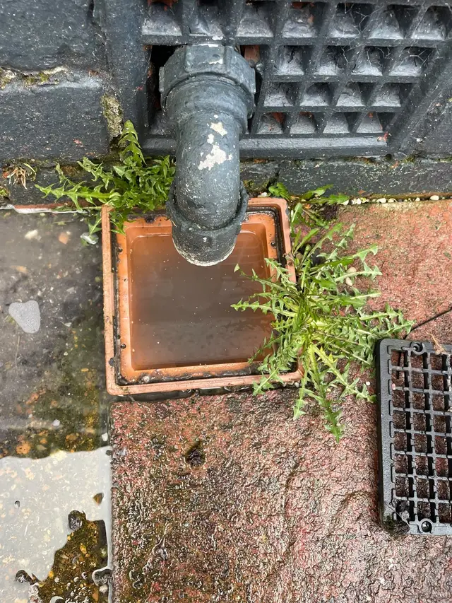Outside gully full of standing water